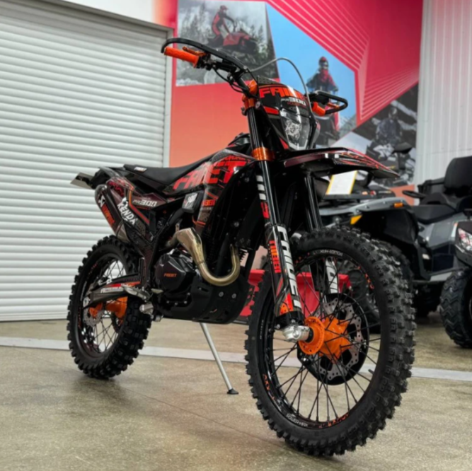 Кроссовый мотоцикл FAIDET PR300 MAX WP в Вологде