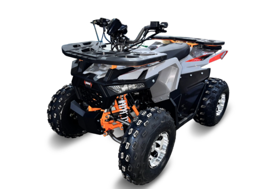 Квадроцикл GBM DAXTER 220 NEW PREMIUM в Вологде