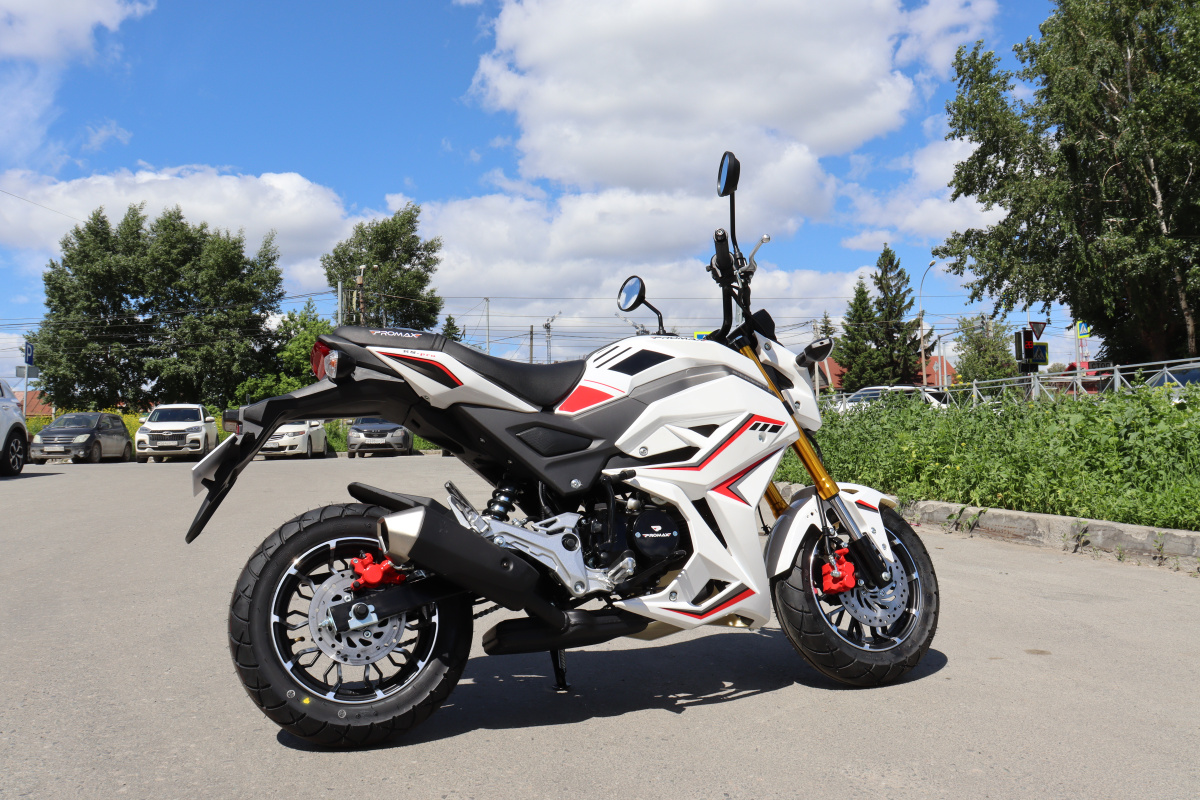 Мотоцикл PROMAX STRYKER 200(49) 2.0 в Вологде