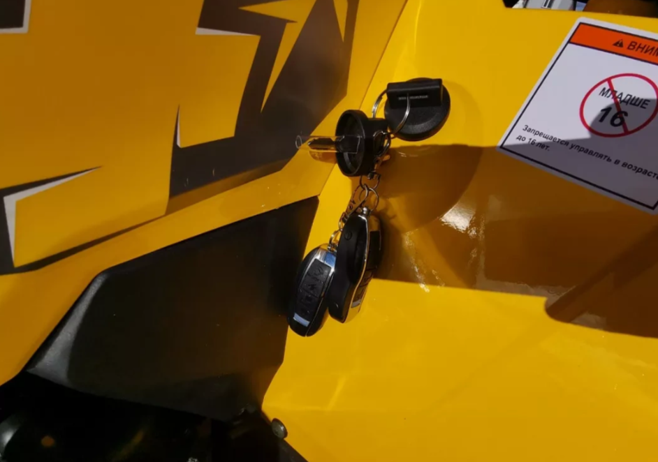 Квадроцикл MOTOLAND (МОТОЛЕНД) VOX200 WILD TRACK X PRO (баланс. вал) в Вологде