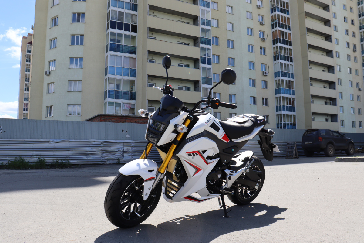 Мотоцикл PROMAX STRYKER 200(49) 2.0 в Вологде