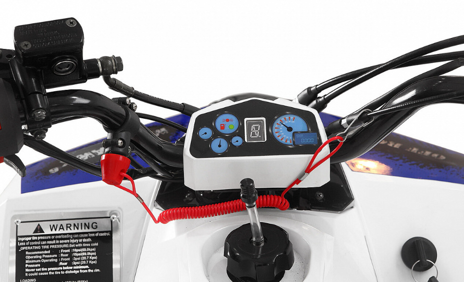 Квадроцикл Yacota Raposa 110 в Вологде