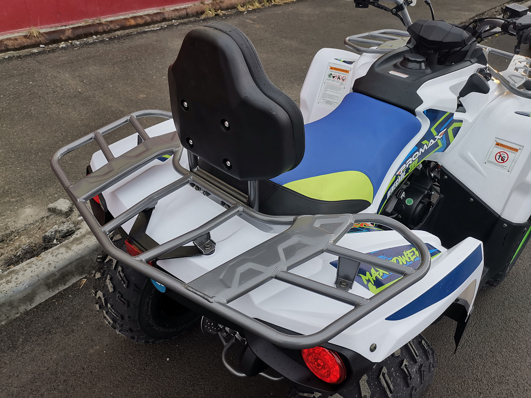 Квадроцикл PROMAX RENEGADE 280 LUX (2025) в Вологде
