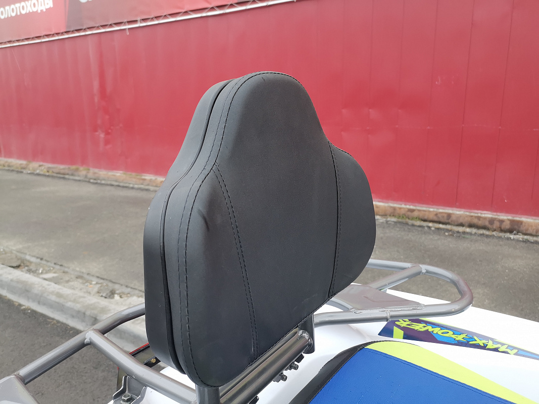 Квадроцикл PROMAX RENEGADE 280 LUX (2025) в Вологде