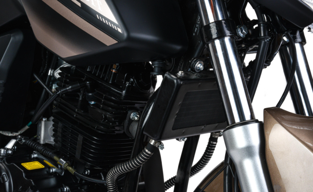 Мотоцикл MOTOLAND (МОТОЛЕНД) 300 BANDIT в Вологде