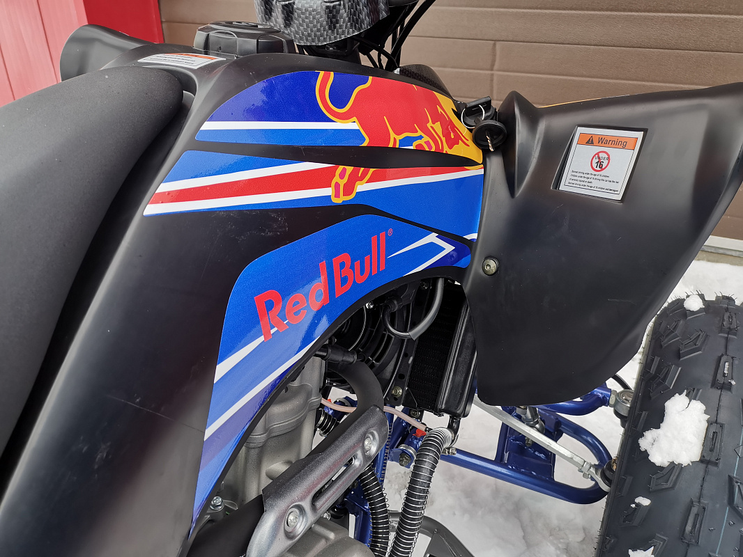 Квадроцикл PROMAX RAPTOR 300 NEW RedBull в Вологде