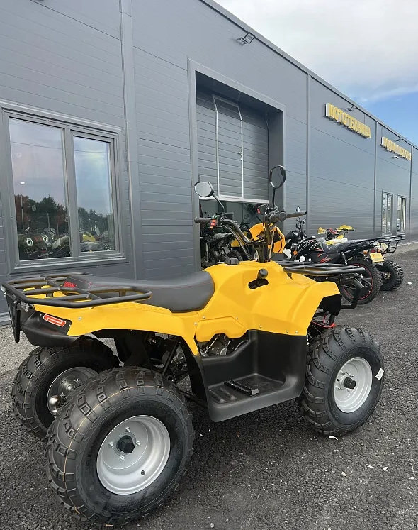 КВАДРОЦИКЛ IRBIS ATV 250  в Вологде