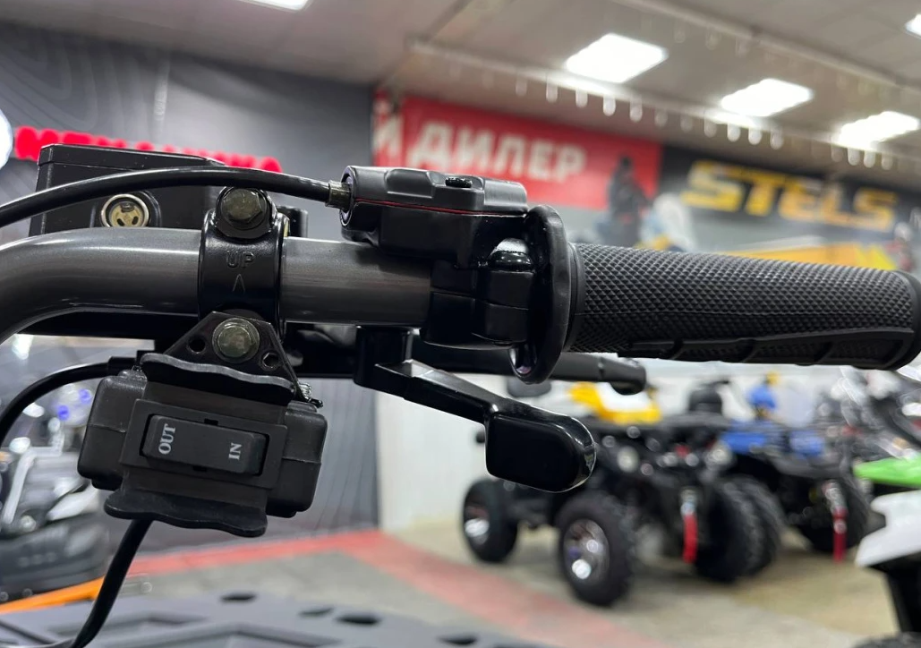 Квадроцикл PROMAX RENEGADE 300 LONG WINCH PRO (2025) в Вологде