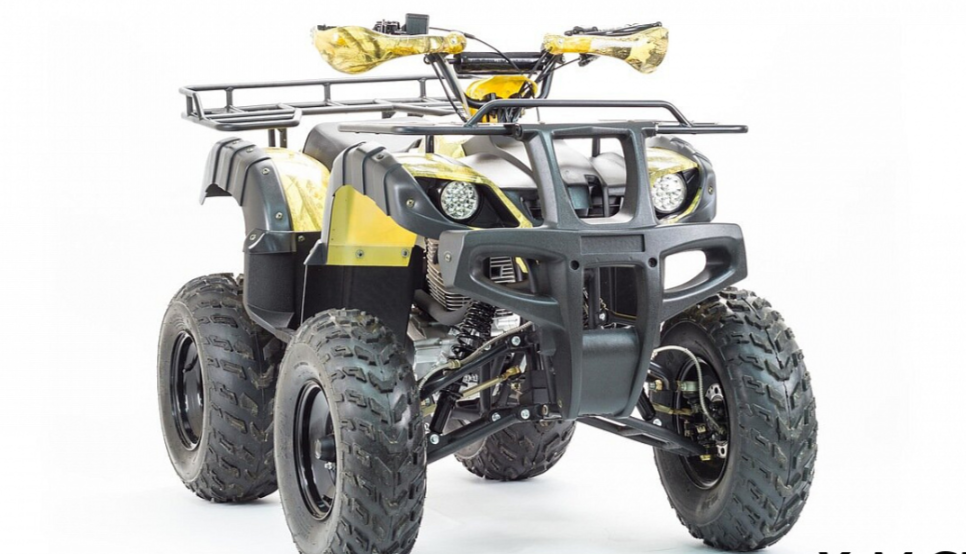 Квадроцикл MOTOLAND (МОТОЛЕНД) 250 ADVENTURE в Вологде