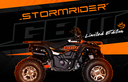 Квадроцикл GBM STORMRIDER 320 NEW LUX в Вологде