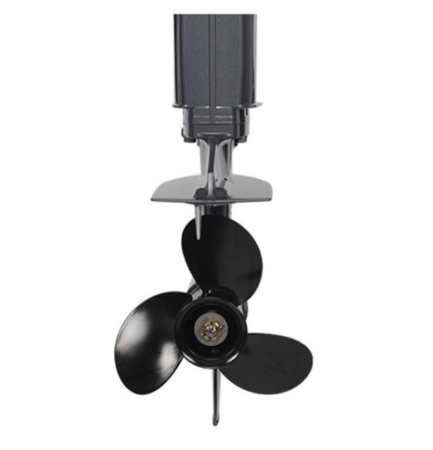 Лодочный мотор ALLFA CG Т40FW S в Вологде