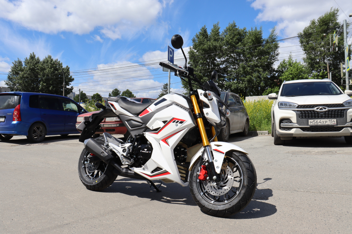 Мотоцикл PROMAX STRYKER 200(49) 2.0 в Вологде