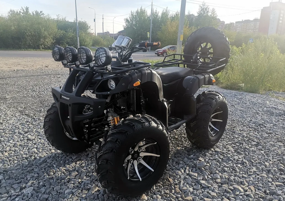 Квадроцикл PROMAX LEO 300 Max (кардан) в Вологде