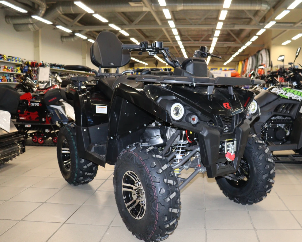 Квадроцикл PROMAX RENEGADE 300 LONG WINCH PRO (2025) в Вологде