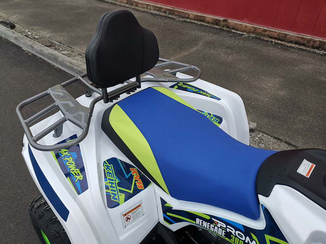 Квадроцикл PROMAX RENEGADE 280 LUX (2025) в Вологде