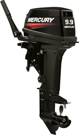 ЛОДОЧНЫЙ МОТОР MERCURY 9.9 MH TMC 247 CC в Вологде