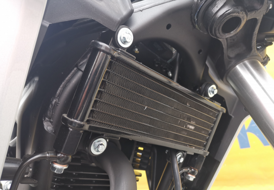 Мотоцикл MOTOLAND (МОТОЛЕНД) 250 CB250 (172FMM-5/PR250) (2022 г.) в Вологде