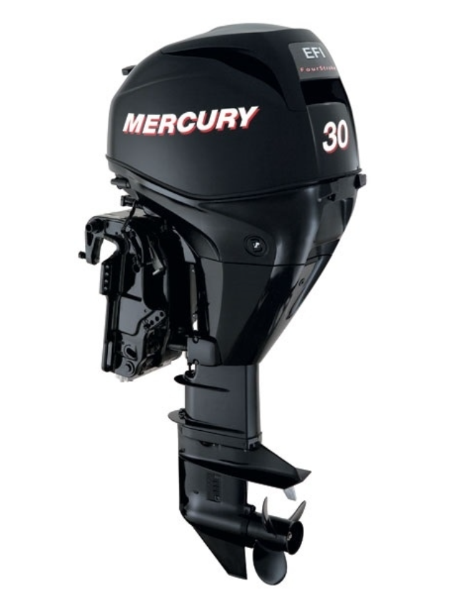 ЛОДОЧНЫЙ МОТОР MERCURY  F 30 ELH GA EFI в Вологде