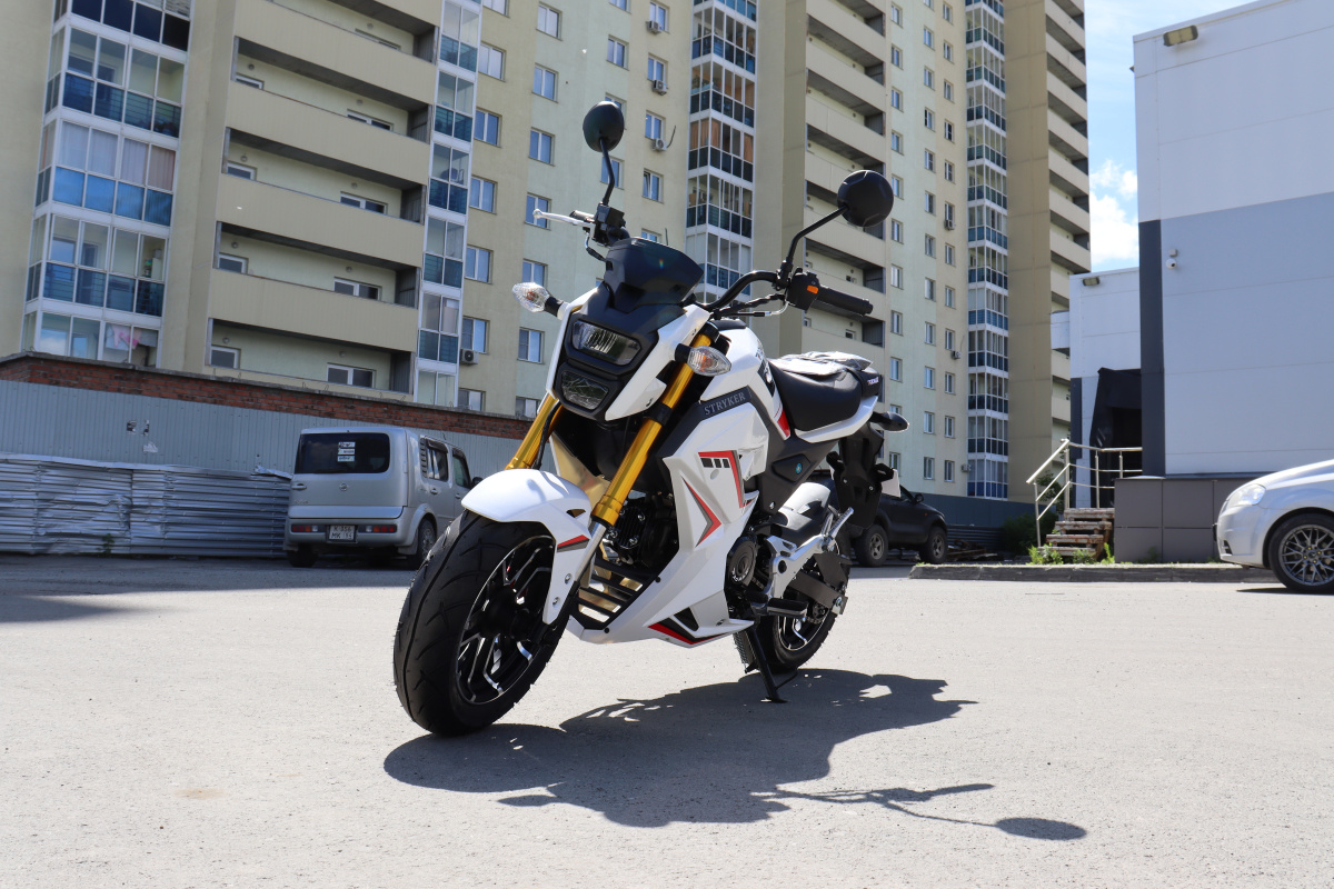 Мотоцикл PROMAX STRYKER 200(49) 2.0 в Вологде