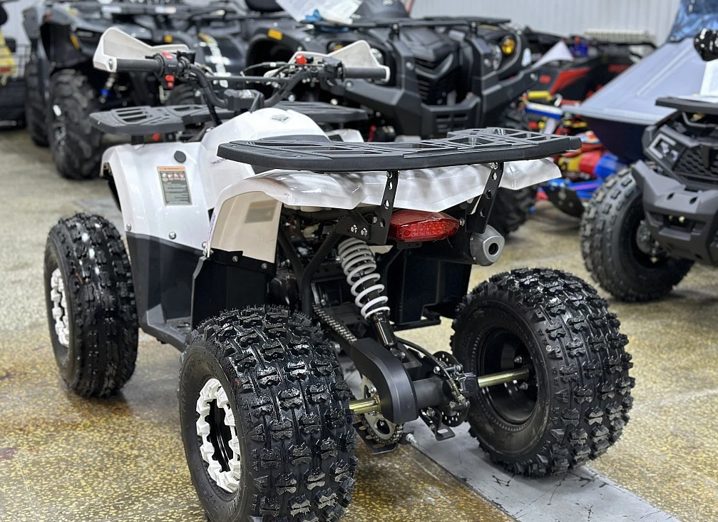 Квадроцикл PROMAX WILD 2.0 190 в Вологде