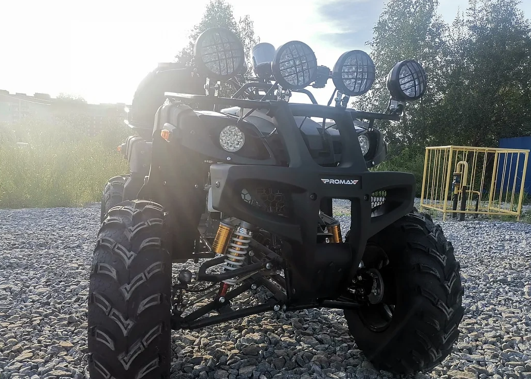 Квадроцикл PROMAX LEO 300 Max (кардан) в Вологде
