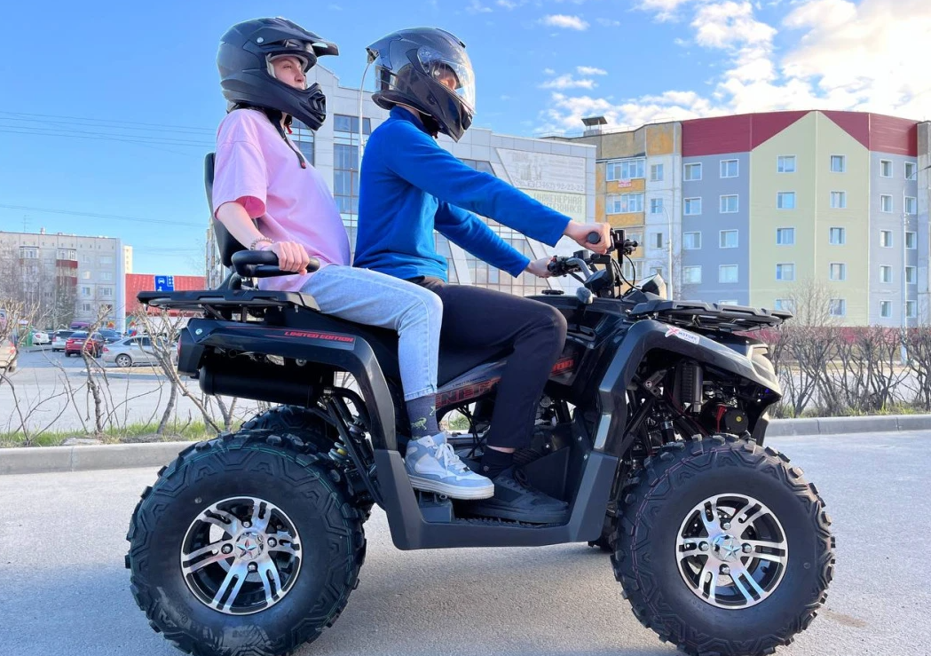 Квадроцикл PROMAX RENEGADE 300 LONG WINCH PRO (2025) в Вологде