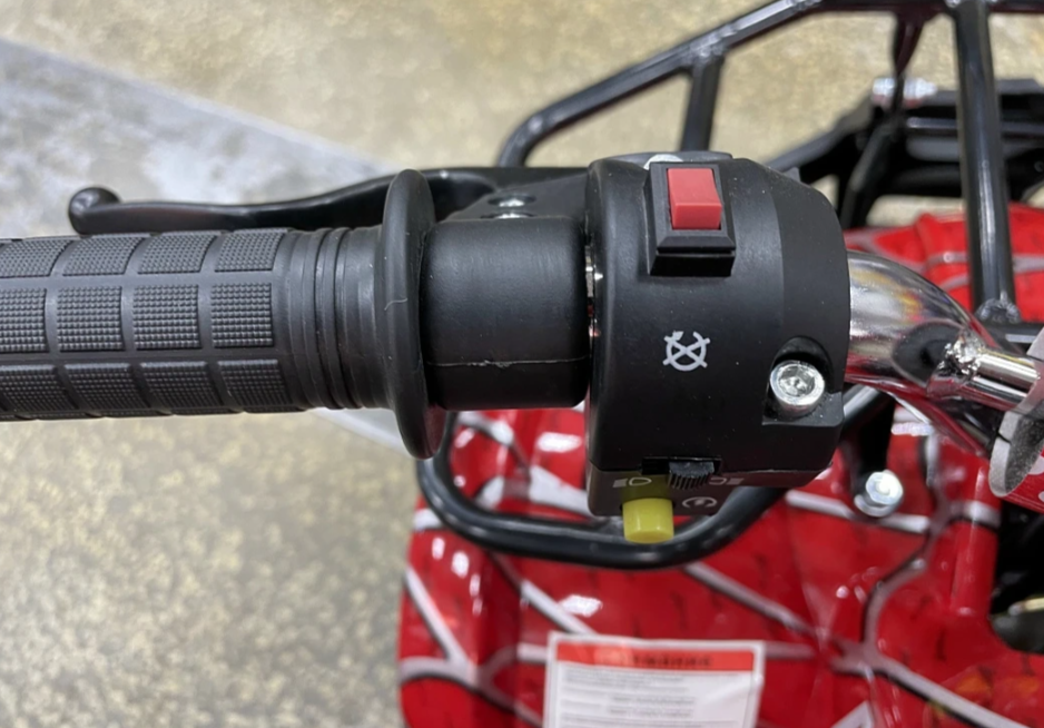 Квадроцикл PROMAX ATV MINI 2T 70CC р/с в Вологде