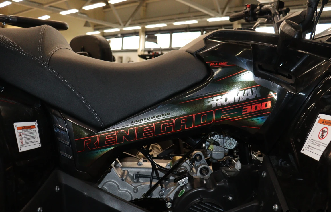 Квадроцикл PROMAX RENEGADE 300 LONG WINCH PRO (2025) в Вологде