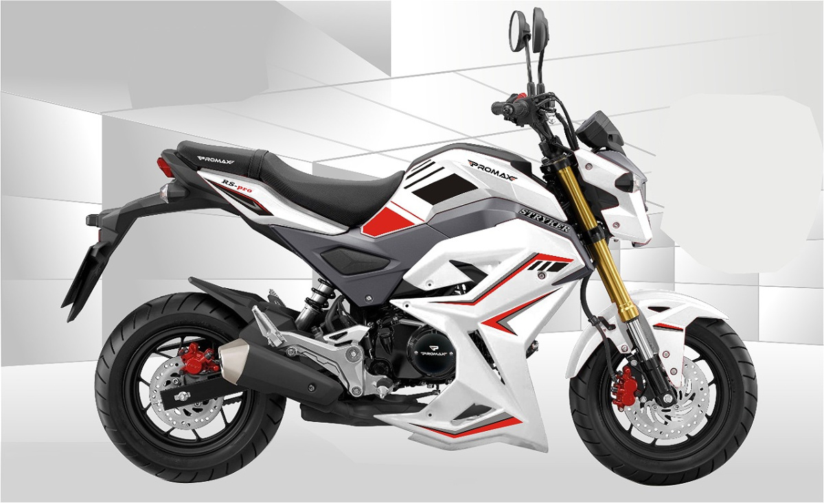 Мотоцикл PROMAX STRYKER 200(49) 2.0 в Вологде