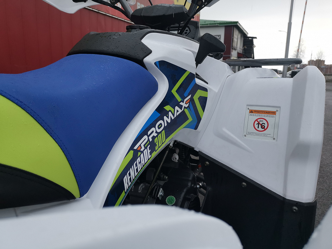 Квадроцикл PROMAX RENEGADE 280 LUX (2025) в Вологде