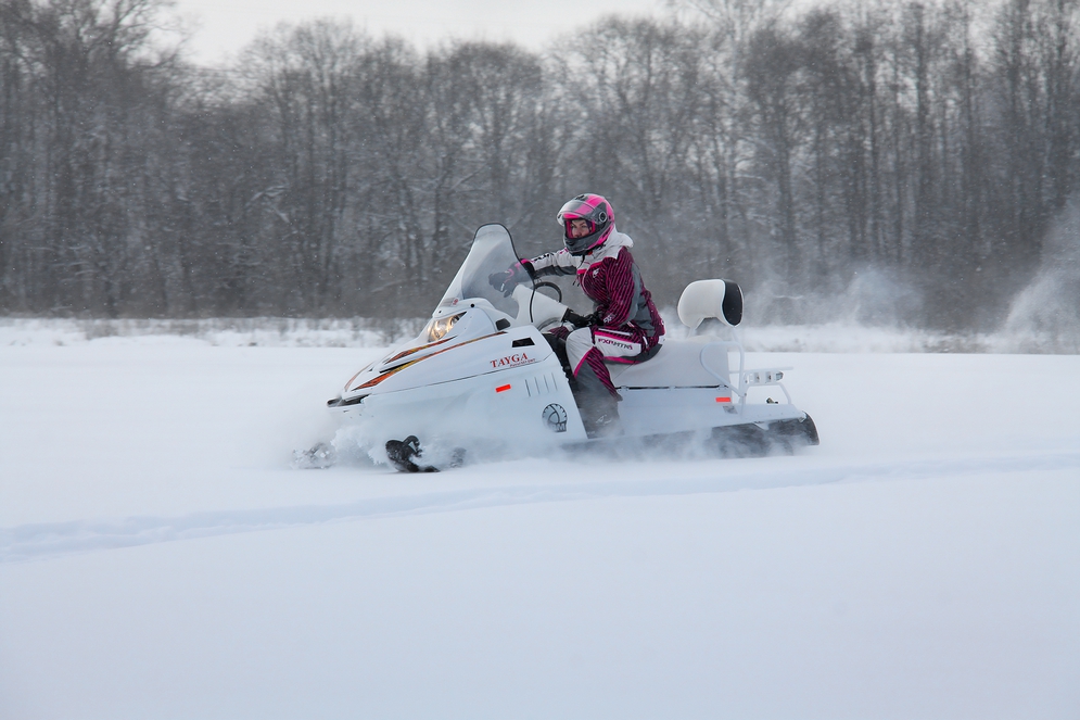 СНЕГОХОД РМ ТАЙГА ПАТРУЛЬ 551 SWT в Вологде