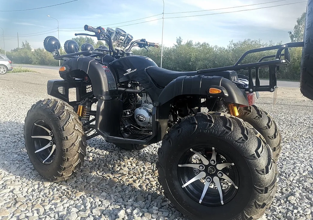 Квадроцикл PROMAX LEO 300 Max (кардан) в Вологде