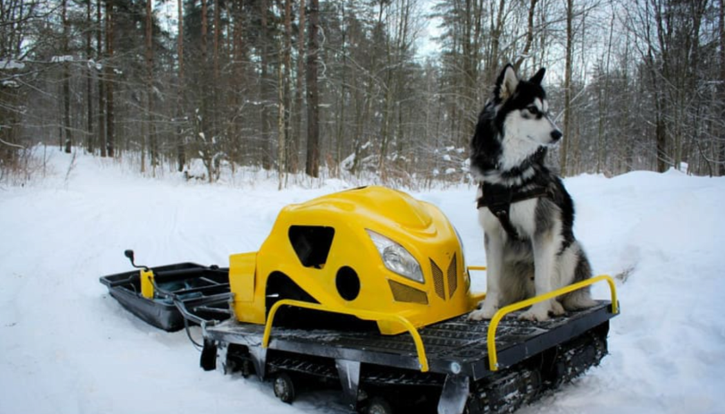 Мотобуксировщик LEBEDEV MOTORS ВОЛКОДАВ POWER V13 в Вологде