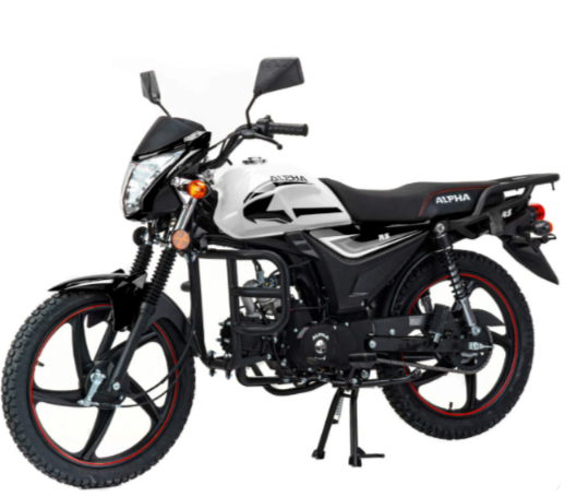 Мопед MOTOLAND (МОТОЛЕНД) Альфа RS 11 (LM48-B) в Вологде