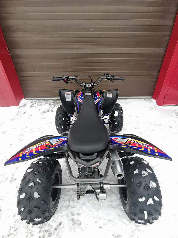 Квадроцикл PROMAX RAPTOR 300 NEW RedBull в Вологде