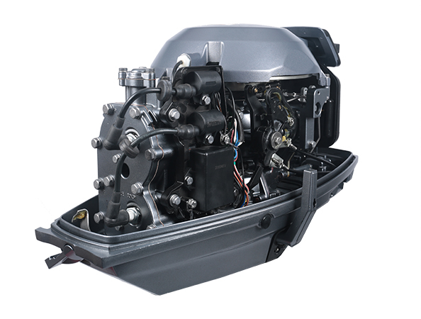 ЛОДОЧНЫЙ МОТОР ALLFA CG T30 FW S в Вологде