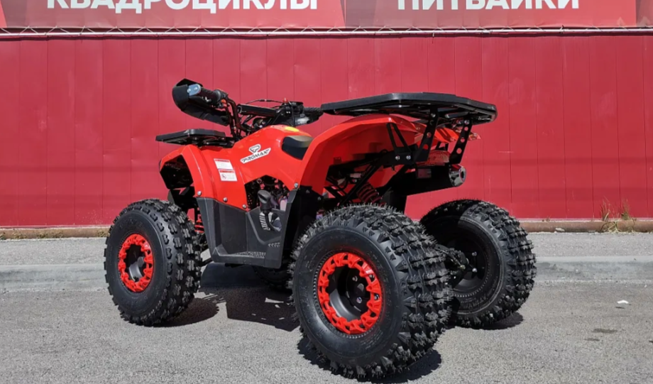 Квадроцикл PROMAX WILD 175 BASIC в Вологде