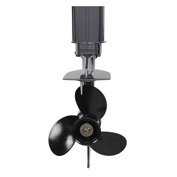 Лодочный мотор ALLFA CG T9.9(20) MAX Limit в Вологде