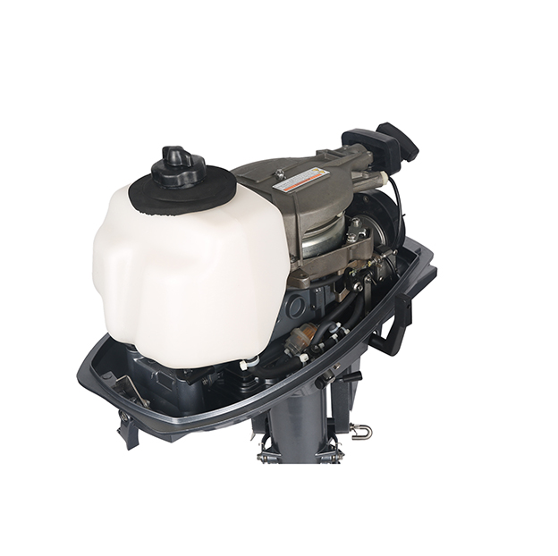 ЛОДОЧНЫЙ МОТОР ALLFA CG T5 в Вологде