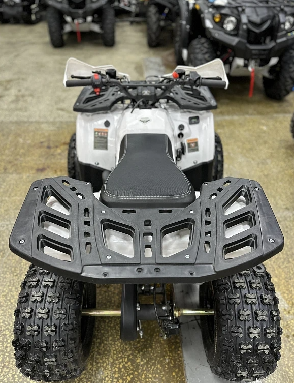 Квадроцикл PROMAX WILD 2.0 190 в Вологде