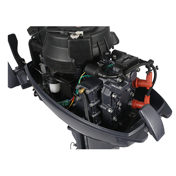 ЛОДОЧНЫЙ МОТОР ALLFA CG Т9,9 Limit в Вологде