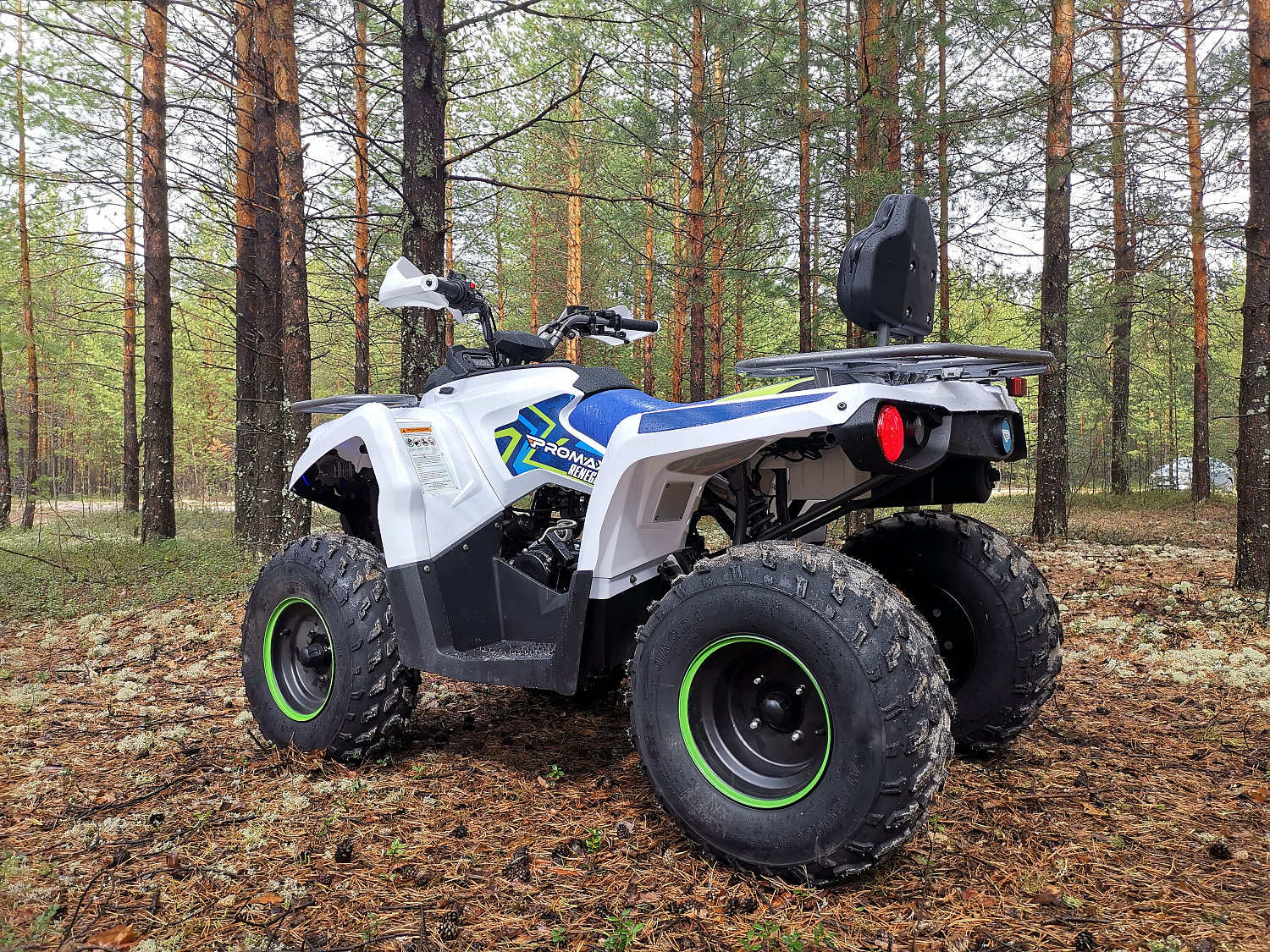 Квадроцикл PROMAX RENEGADE 280 (2025) в Вологде