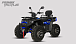Квадроцикл PROMAX TAURUS 300 MAX-PRO LONG в Вологде