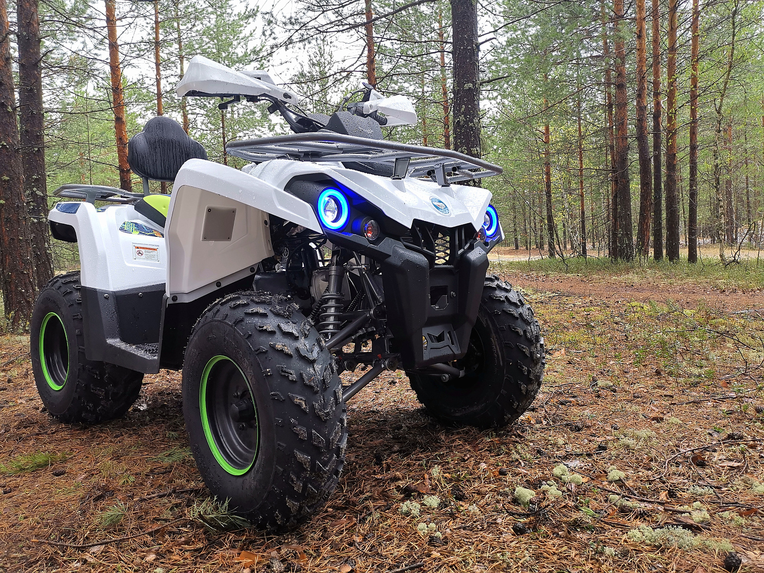 Квадроцикл PROMAX RENEGADE 280 (2025) в Вологде