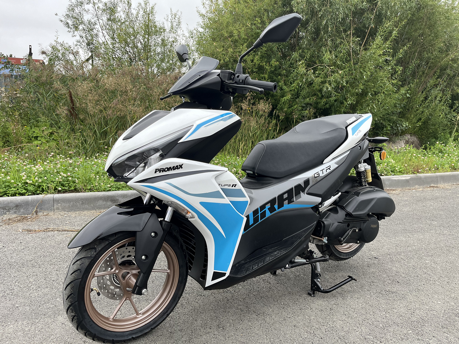 Скутер PROMAX TURAN 250 (49) в Вологде