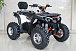 Квадроцикл GBM STORMRIDER 320 PREMIUM в Вологде