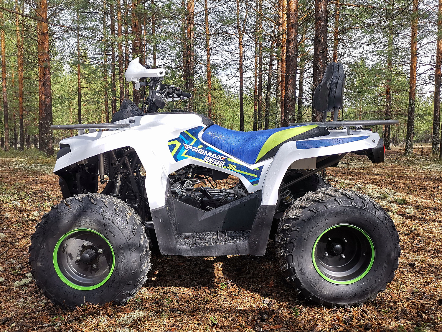 Квадроцикл PROMAX RENEGADE 280 (2025) в Вологде