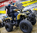 Квадроцикл PROMAX ATV 250 (2025) в Вологде