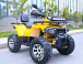 Квадроцикл MOTOLAND (МОТОЛЕНД) VOX200 WILD TRACK X PRO (баланс. вал) в Вологде