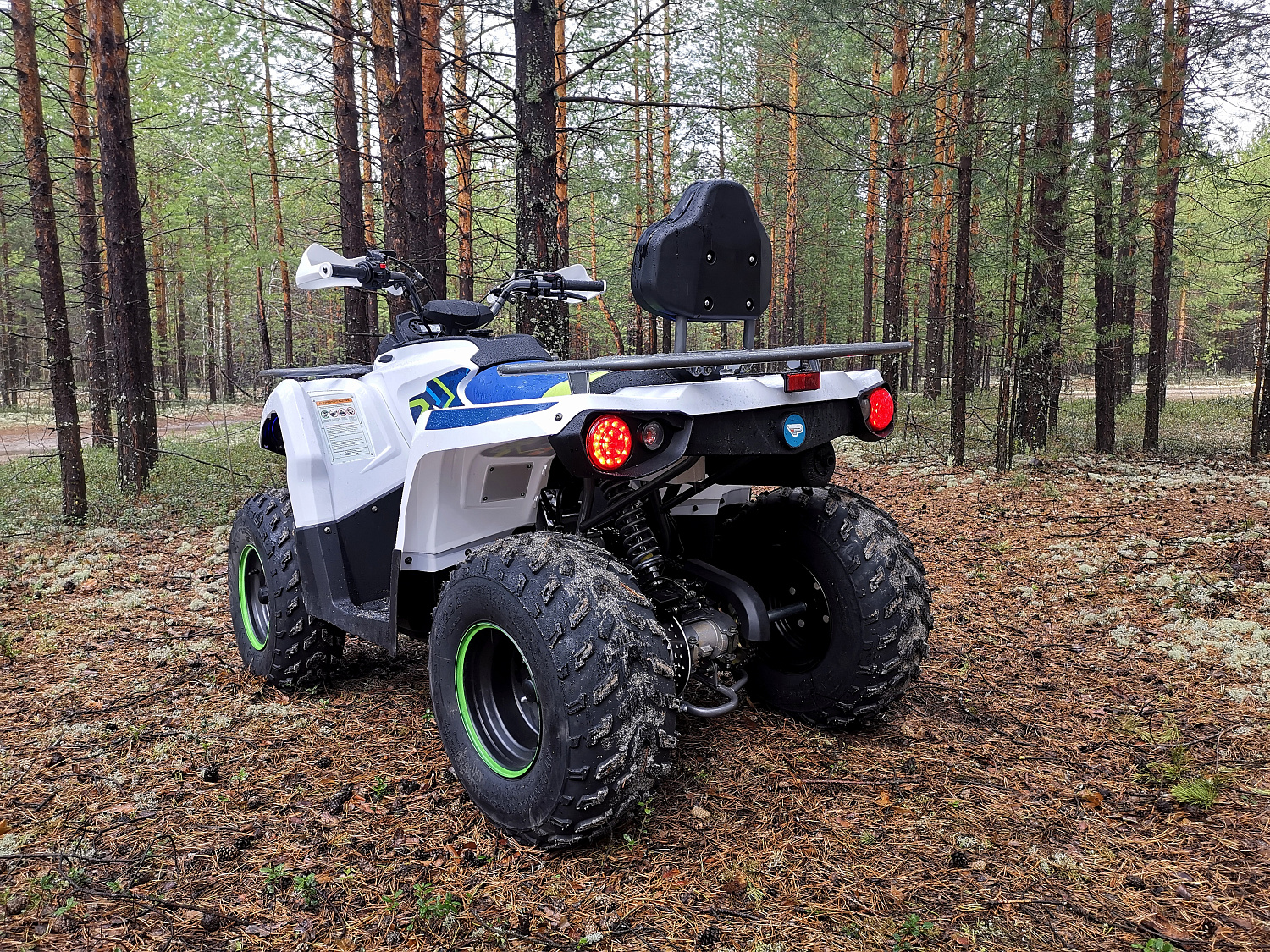 Квадроцикл PROMAX RENEGADE 280 (2025) в Вологде